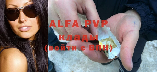 амф Алексин