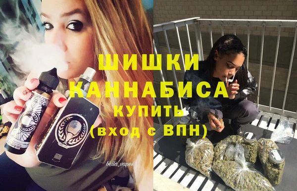 spice Новозыбков
