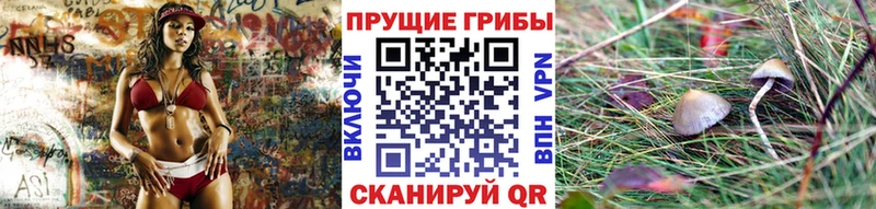 наркошоп  Слободской  Галлюциногенные грибы Cubensis 